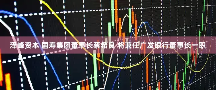 泽峰资本 国寿集团董事长蔡希良 将兼任广发银行董事长一职
