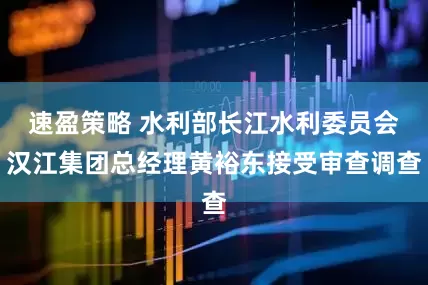 速盈策略 水利部长江水利委员会汉江集团总经理黄裕东接受审查调查