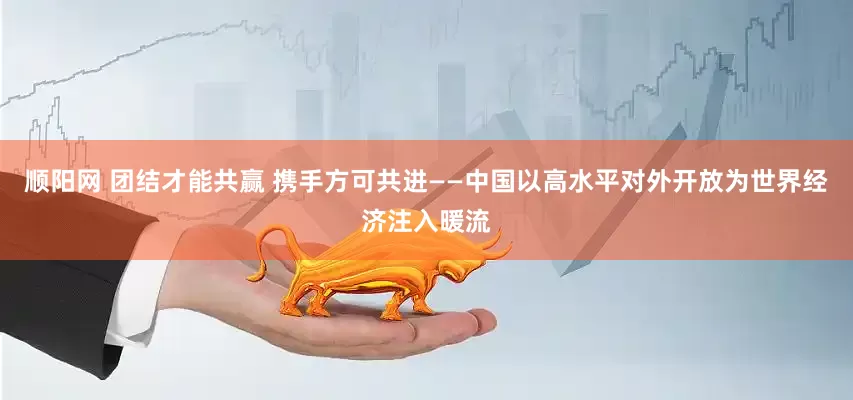 顺阳网 团结才能共赢 携手方可共进——中国以高水平对外开放为世界经济注入暖流