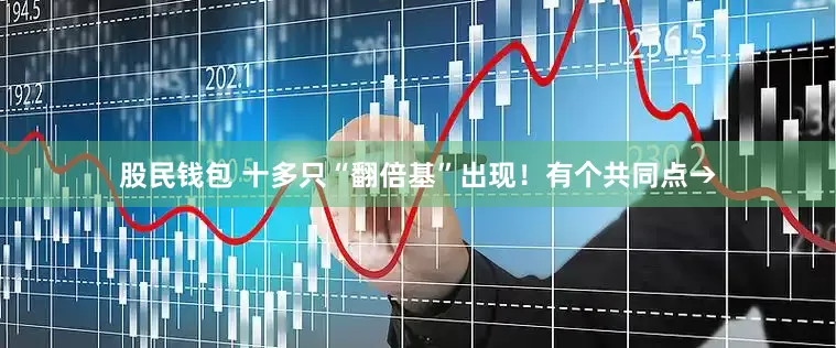 股民钱包 十多只“翻倍基”出现！有个共同点→