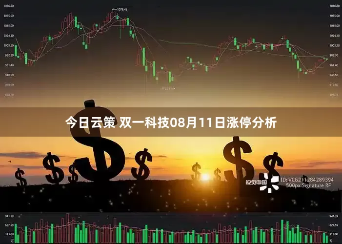 今日云策 双一科技08月11日涨停分析
