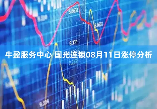 牛盈服务中心 国光连锁08月11日涨停分析