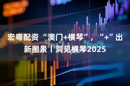 宏粤配资 “澳门+横琴”,“+”出新图景丨洞见横琴2025