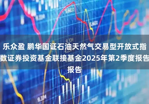 乐众盈 鹏华国证石油天然气交易型开放式指数证券投资基金联接基金2025年第2季度报告