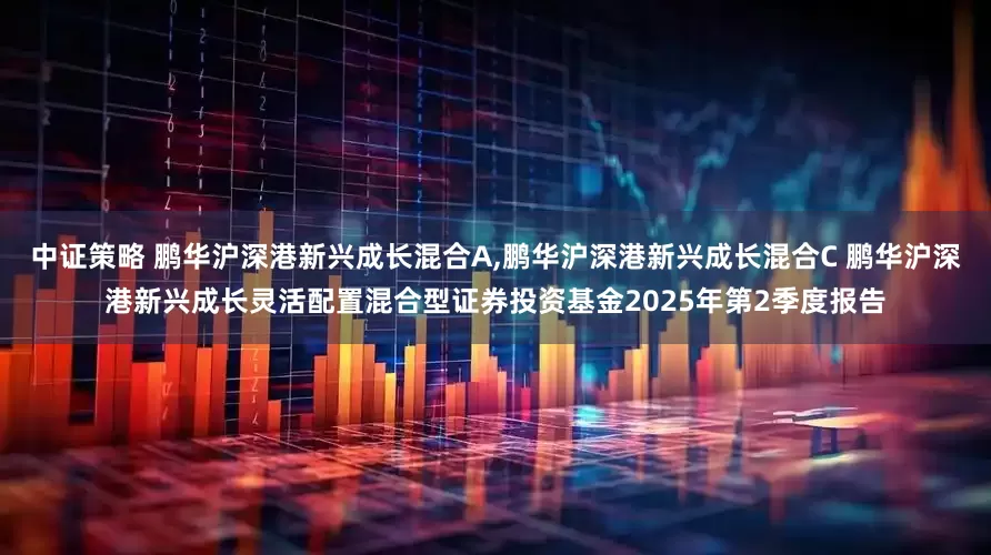 中证策略 鹏华沪深港新兴成长混合A,鹏华沪深港新兴成长混合C 鹏华沪深港新兴成长灵活配置混合型证券投资基金2025年第2季度报告